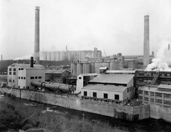 marquette1928newyearseveno2plant.jpg